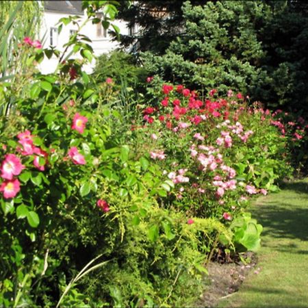 Au Jardin Des Deux Ponts Bed and Breakfast Abbeville Eksteriør billede