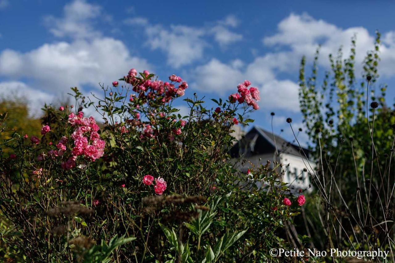 Au Jardin Des Deux Ponts Bed and Breakfast Abbeville Eksteriør billede